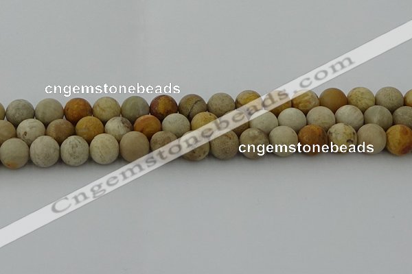 CFC223 15.5 inches 10mm round matte fossil coral beads wholesale