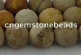 CFC224 15.5 inches 12mm round matte fossil coral beads wholesale