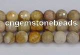 CFC228 15.5 inches 4mm faceted round fossil coral beads