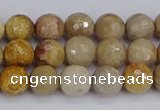 CFC229 15.5 inches 6mm faceted round fossil coral beads