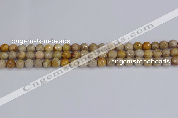 CFC229 15.5 inches 6mm faceted round fossil coral beads