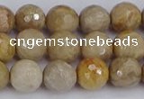 CFC230 15.5 inches 8mm faceted round fossil coral beads