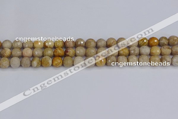 CFC230 15.5 inches 8mm faceted round fossil coral beads