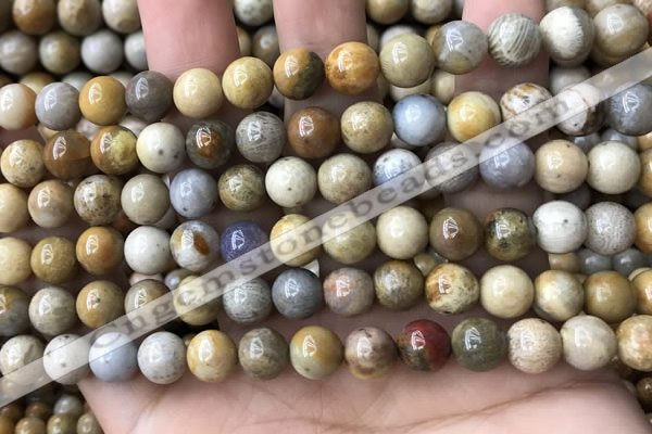 CFC322 15.5 inches 8mm round fossil coral beads wholesale