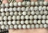 CFC331 15.5 inches 8mm round fossil coral beads wholesale