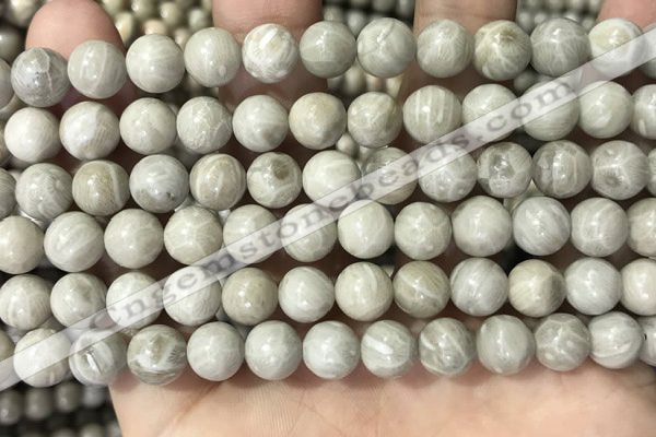 CFC331 15.5 inches 8mm round fossil coral beads wholesale