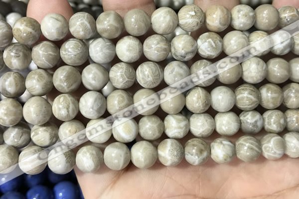 CFC332 15.5 inches 8mm round fossil coral beads wholesale