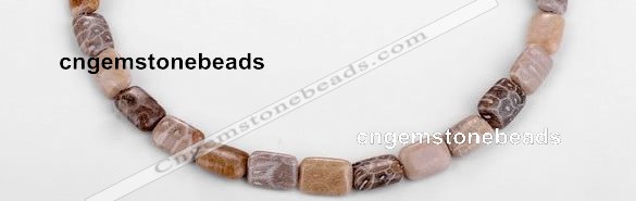 CFC50 10*14mm rectangle coral fossil jasper beads wholesale