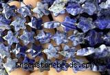 CFG1673 15 inches 14mm carved star sodalite gemstone beads