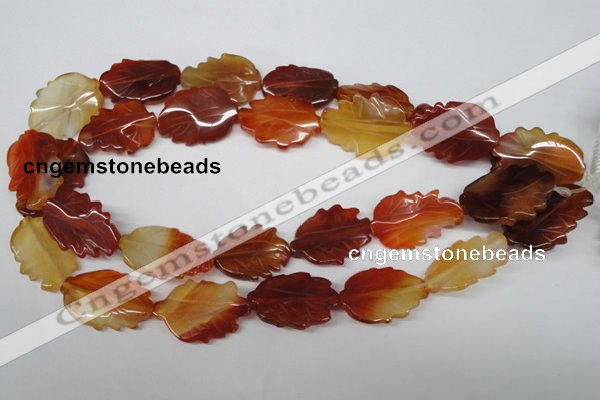 CFG280 15.5 inches 20*30mm carved leaf red agate beads