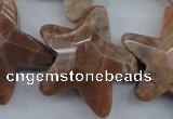 CFG929 15.5 inches 30*33mm faceted & carved star moonstone beads