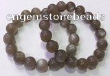 CGB4526 7.5 inches 12mm round grey moonstone beaded bracelets