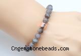 CGB9260 8mm, 10mm Botswana agate & drum hematite power beads bracelets