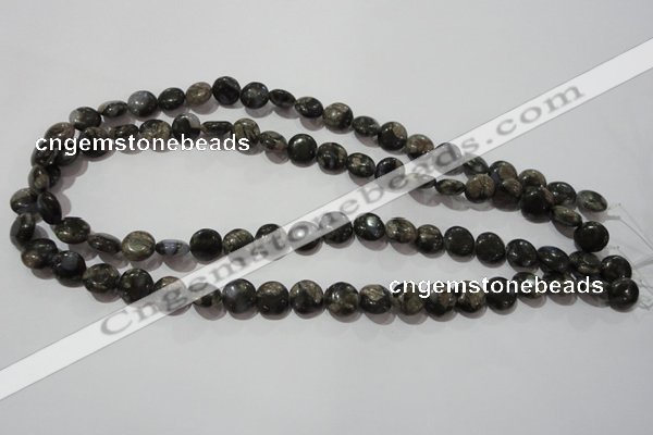 CGE122 15.5 inches 10mm flat round glaucophane gemstone beads