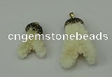 CGP209 25*30mm - 30*50mm freeform coral pendants wholesale