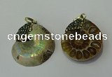 CGP271 25*30mm - 30*35mm ammonite pendants wholesale