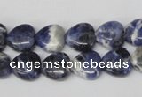 CHG11 15.5 inches 10*10mm heart sodalite gemstone beads wholesale