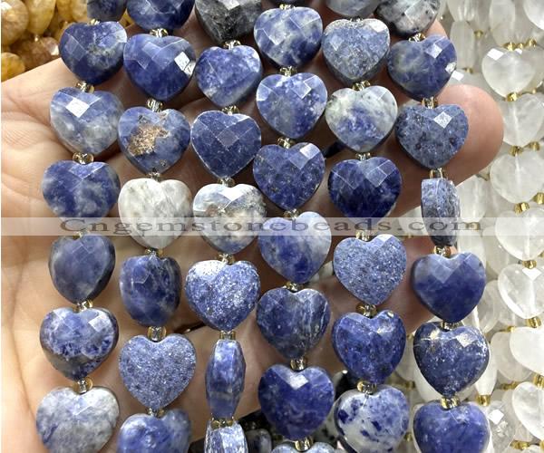 CHG319 15 inches 12mm faceted heart sodalite gemstone beads