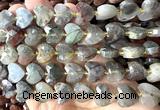 CHG363 15 inches 14mm faceted heart blood jasper beads