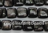 CHS81 15.5 inches 12*12mm square natural hypersthene beads