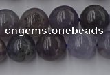 CIL102 15.5 inches 8mm round iolite gemstone beads wholesale