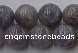 CIL103 15.5 inches 10mm round iolite gemstone beads wholesale