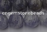 CIL104 15.5 inches 12mm round iolite gemstone beads wholesale