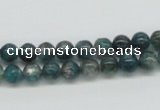 CKC16 16 inches 6mm round natural kyanite beads wholesale