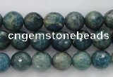 CKC223 15.5 inches 10mm faceted round natural kyanite beads wholesale