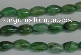 CKC70 15.5 inches 4*6mm rice natural green kyanite beads wholesale