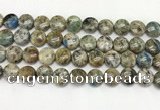 CKJ486 15.5 inches 10mm flat round natural k2 jasper beads