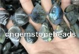 CLB1001 15.5 inches 18*30mm - 22*35mm flat teardrop labradorite beads