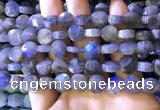 CLB1022 15.5 inches 10mm faceted coin labradorite gemstone beads