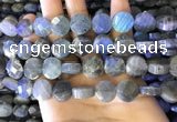 CLB1023 15.5 inches 12mm faceted coin labradorite gemstone beads