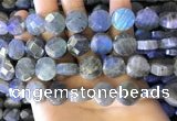 CLB1024 15.5 inches 14mm faceted coin labradorite gemstone beads