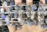 CLB1044 Top drilled 8*12mm faceted briolette labradorite beads