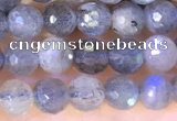 CLB1070 15.5 inches 4mm faceted round labradorite beads