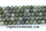 CLB1223 15.5 inches 10mm round labradorite gemstone beads