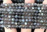 CLB1272 15 inches 5mm round labradorite gemstone beads wholesale