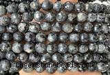 CLB1302 15 inches 8mm faceted round black labradorite beads wholesale