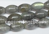 CLB151 15.5 inches 10*16mm rice labradorite gemstone beads