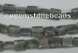 CLB161 15.5 inches 8*8mm square labradorite gemstone beads