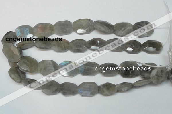 CLB206 15.5 inches 20*25mm faceted freeform labradorite beads