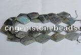 CLB215 15.5 inches 20*30mm - 30*40mm faceted freeform labradorite beads