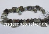 CLB222 Top drilled 15*25mm - 25*30mm freeform labradorite beads