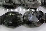 CLB325 15.5 inches 20*25mm octagonal black labradorite beads