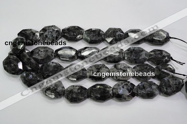 CLB325 15.5 inches 20*25mm octagonal black labradorite beads