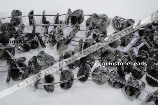 CLB326 Top-drilled 20mm wavy coin black labradorite beads