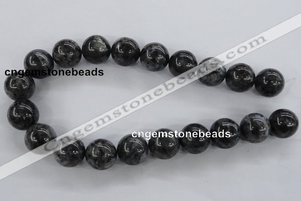 CLB356 15.5 inches 16mm round black labradorite beads wholesale