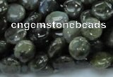 CLB38 15.5 inches 10mm flat round labradorite gemstone beads